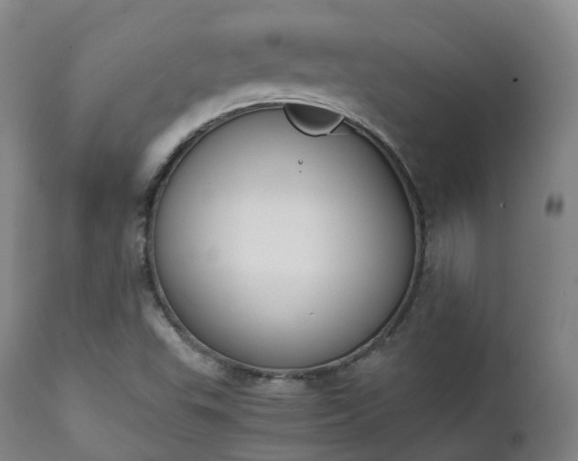 X0000111451503200907201036