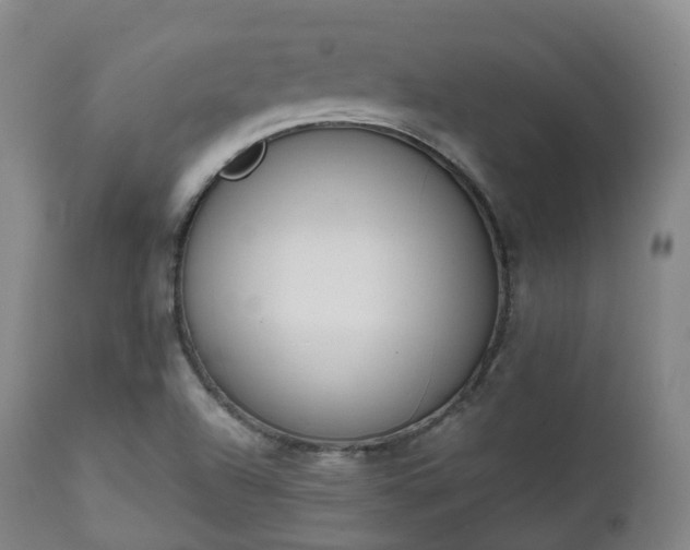 X0000111451504200907201036