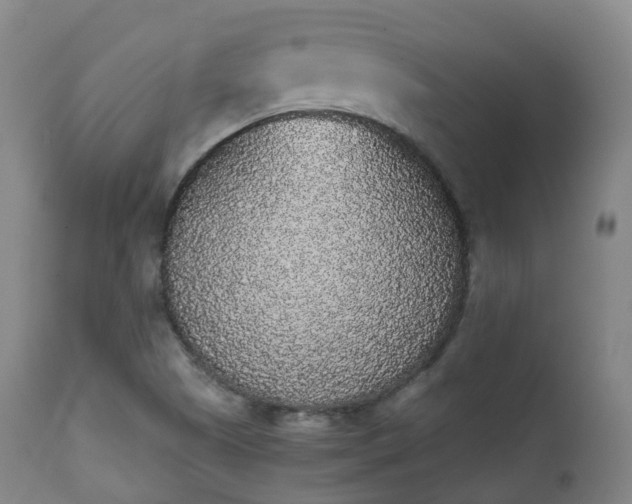 X0000111451505200907201036