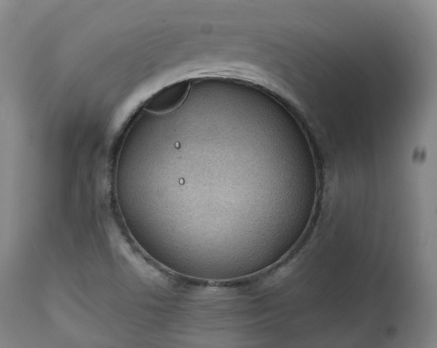 X0000111451506200907201036