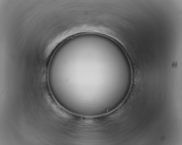 X0000111451507200907201036