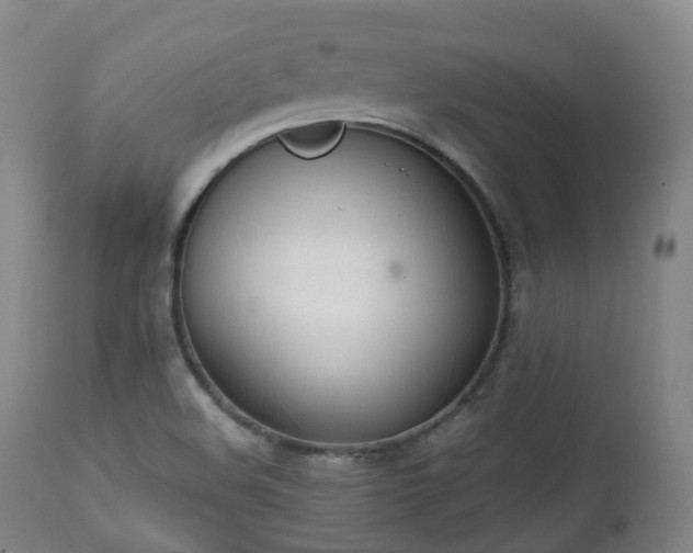 X0000111451508200907201036