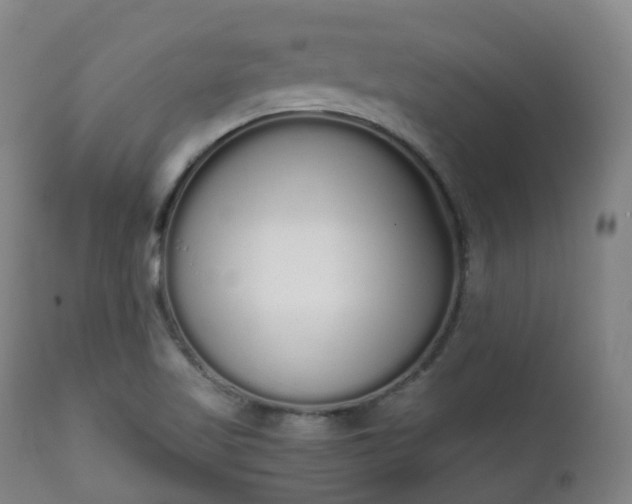 X0000111451509200907201036