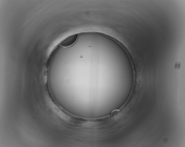 X0000111451510200907201036