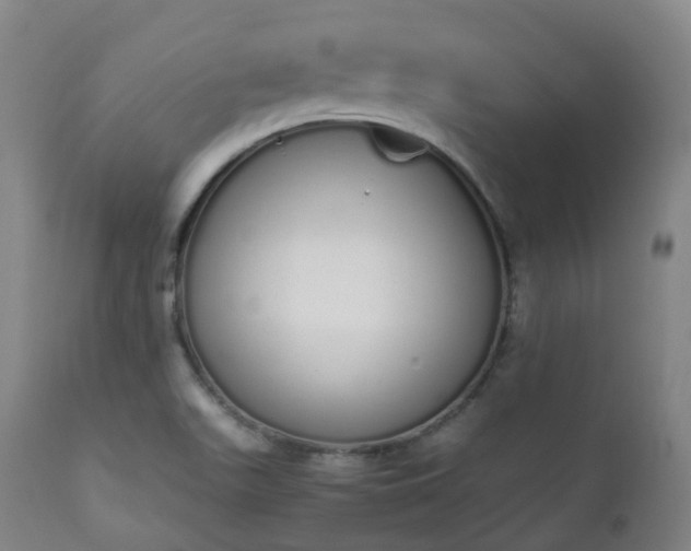 X0000111451511200907201036