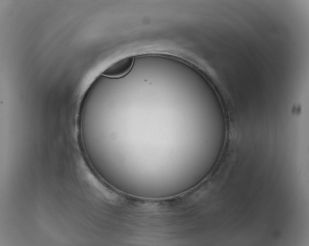 X0000111451512200907201036