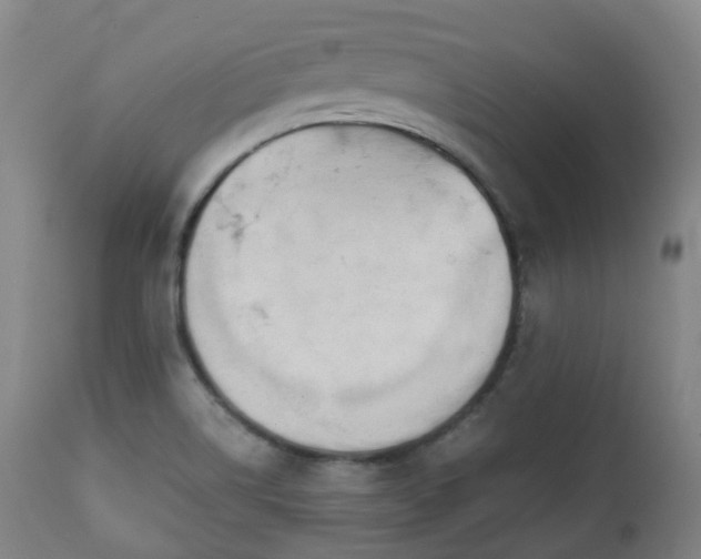 X0000111451514200907201036