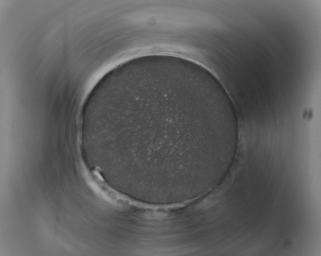 X0000111451515200907201036