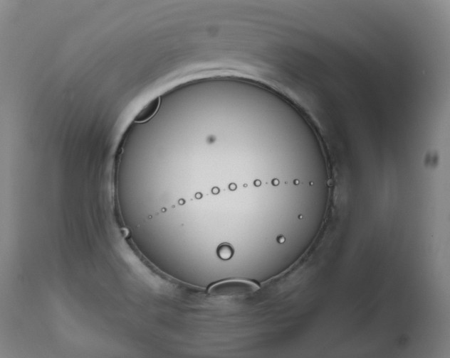 X0000111451516200907201036