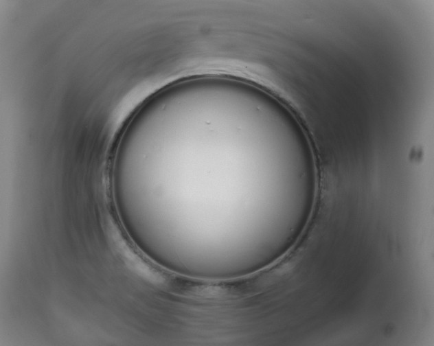 X0000111451517200907201036