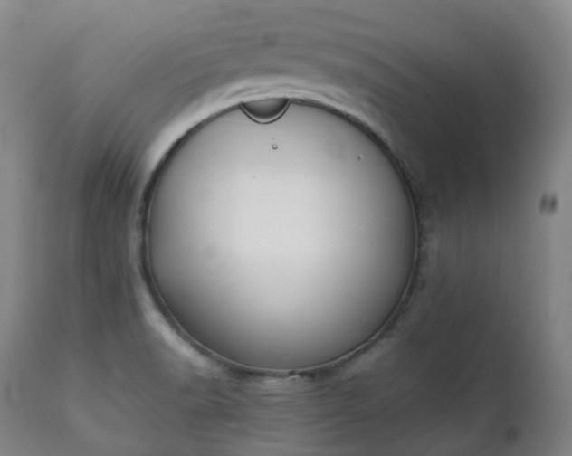 X0000111451518200907201036