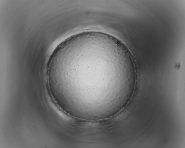 X0000111451519200907201036