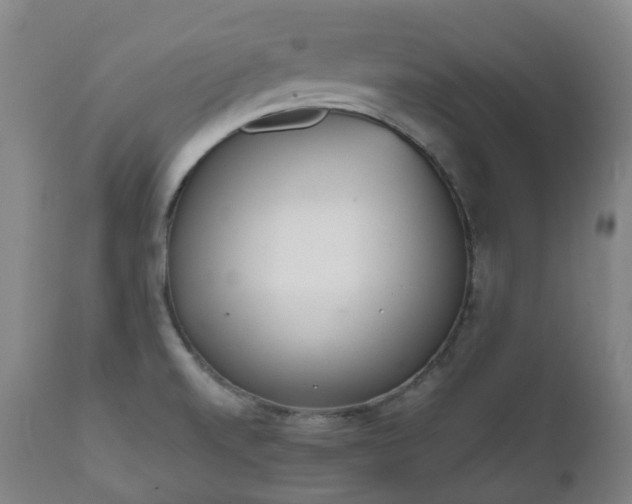 X0000111451520200907201036