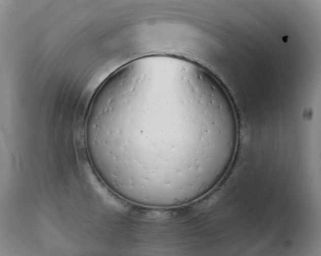 X0000111451521200907201036