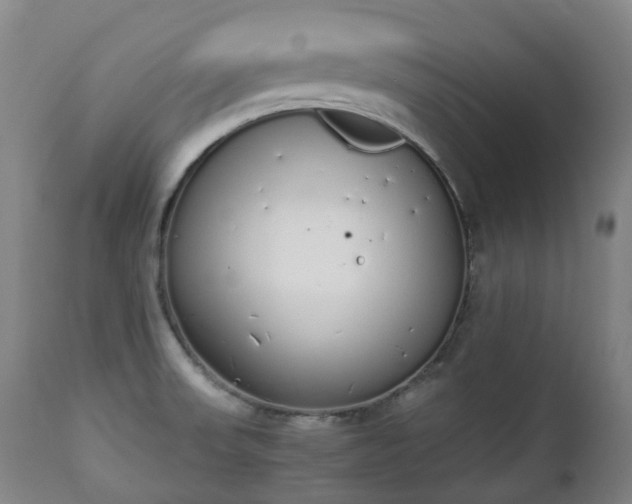 X0000111451523200907201036