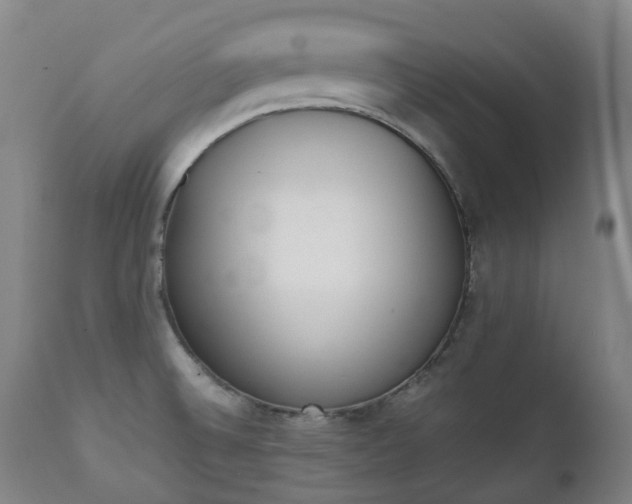 X0000111451524200907201036
