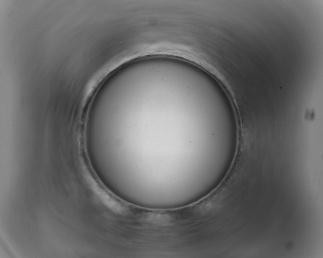 X0000111451525200907201036