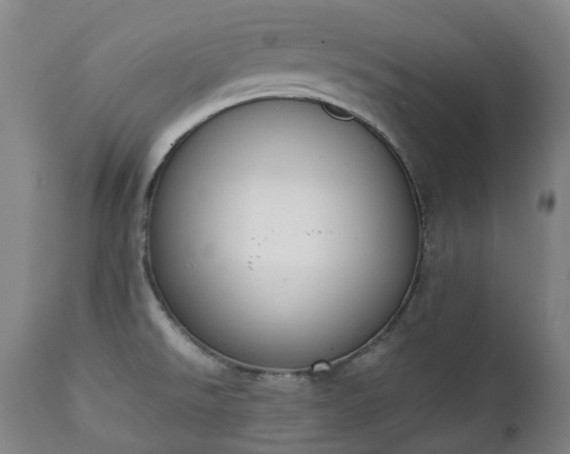 X0000111451526200907201036