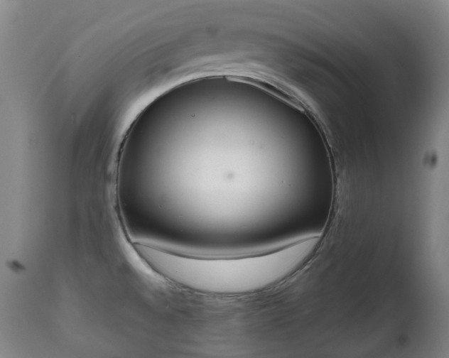 X0000111451528200907201036