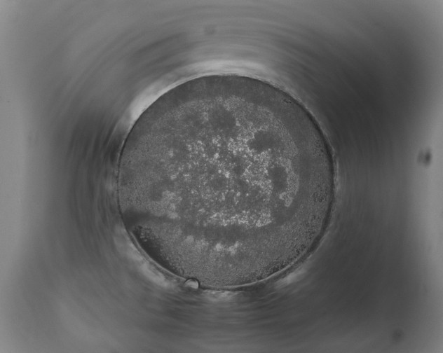 X0000111451529200907201036
