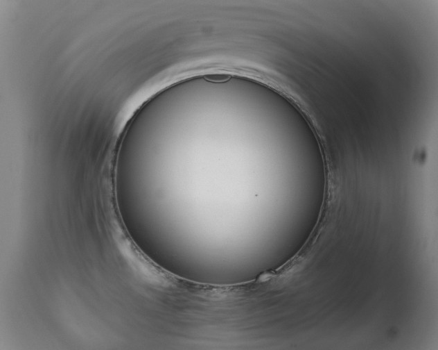 X0000111451530200907201037