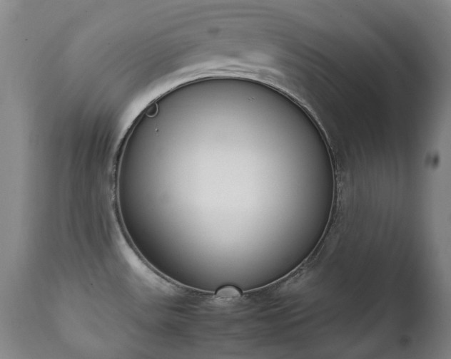 X0000111451531200907201037