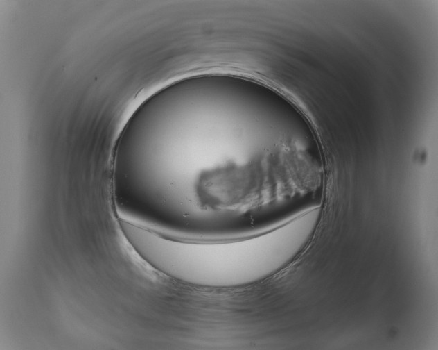 X0000111451532200907201037