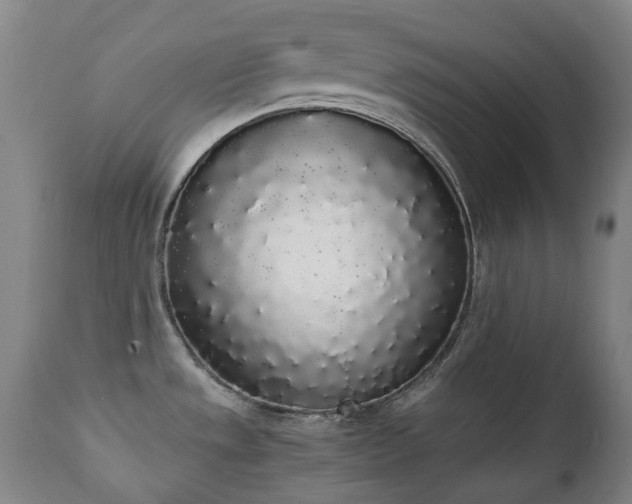 X0000111451533200907201037