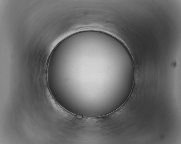 X0000111451534200907201037