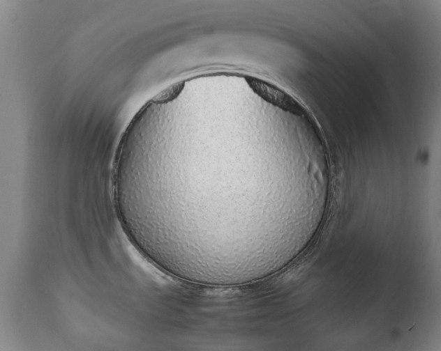 X0000111451535200907201037