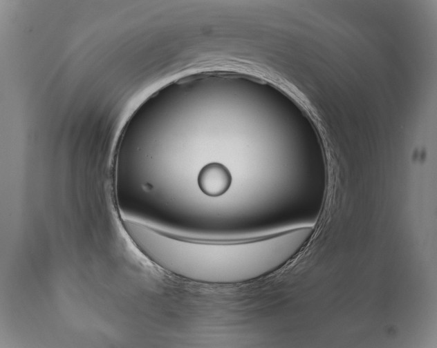 X0000111451536200907201037