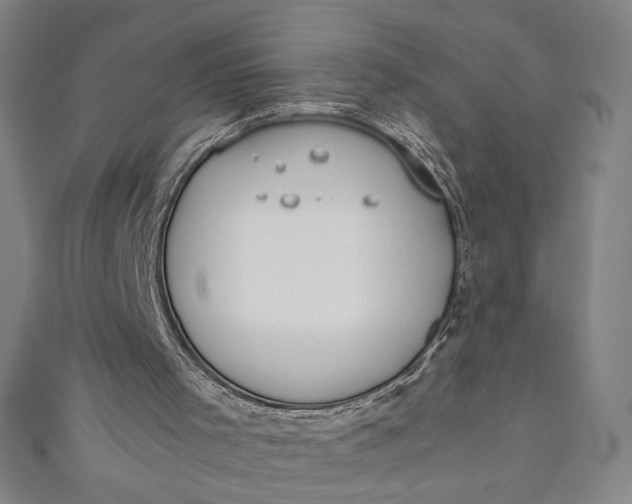 X0000111450001200907271240