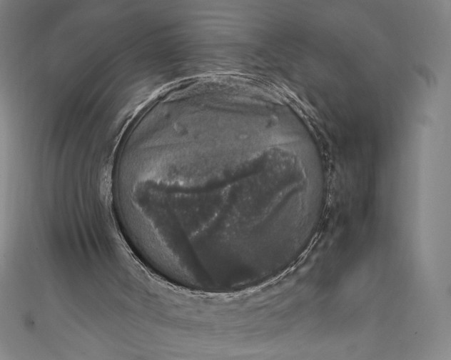 X0000111450002200907271240