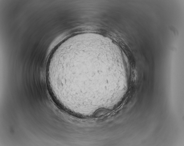 X0000111450004200907271240