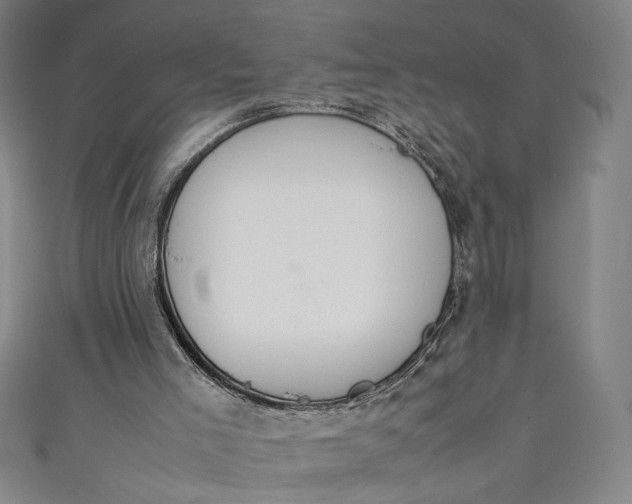 X0000111450005200907271240