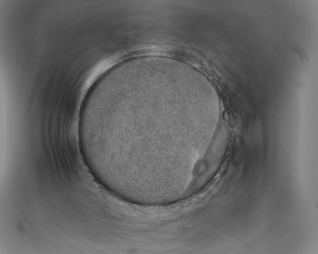 X0000111450006200907271240