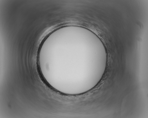 X0000111450007200907271240