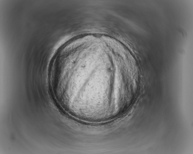 X0000111450008200907271240