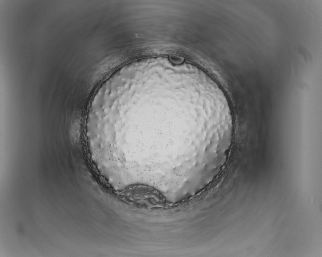 X0000111450010200907271240