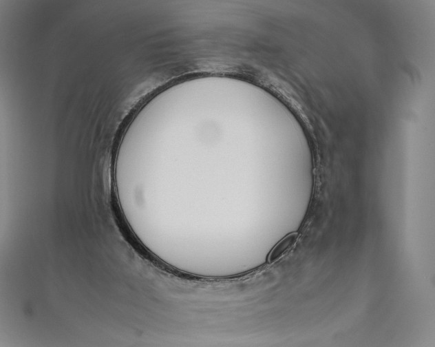 X0000111450011200907271240