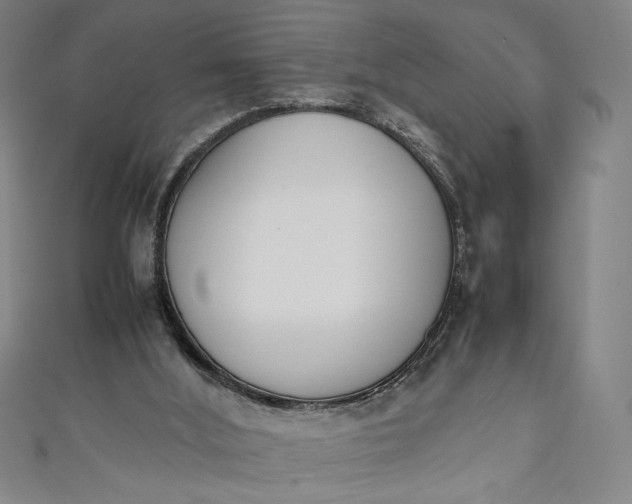 X0000111450012200907271240