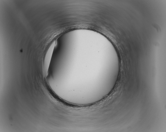 X0000111450013200907271240