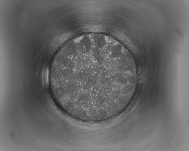 X0000111450014200907271240