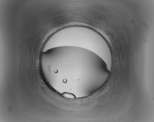 X0000111450015200907271240