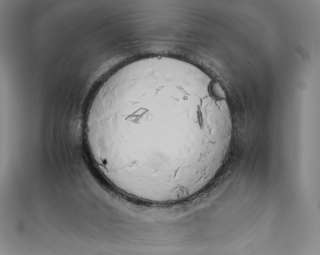 X0000111450016200907271240