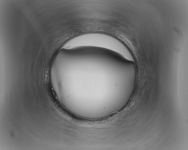 X0000111450017200907271240