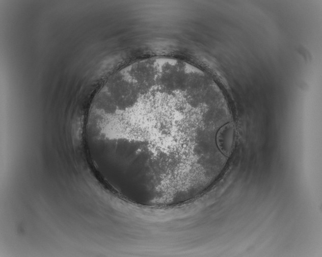 X0000111450018200907271240