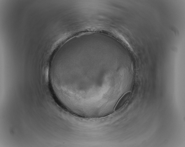 X0000111450019200907271240
