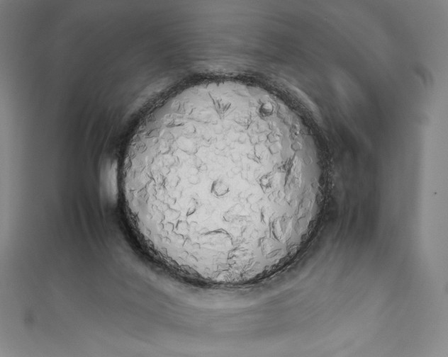 X0000111450020200907271240