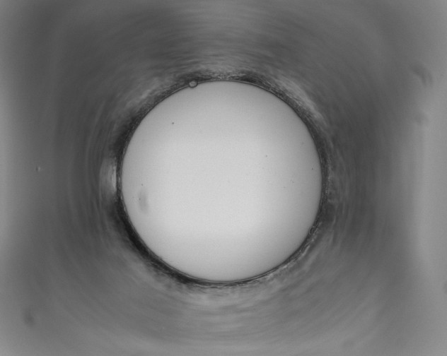 X0000111450021200907271240